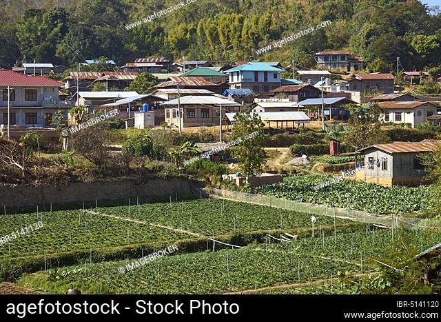 Shan village, in front vegetable fields with irrigation systems, near Pyin U Lwin, Mandalay District, Myanmar, Asia
