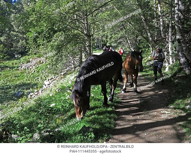 Hike in the National Park Aiguestortes along the Monastero valley in the Spanish Pyrenees - Horses along the way, added on 14.09