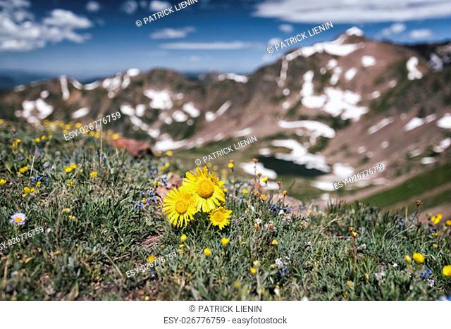 Landscape photographs taken in the Eagles Nest Wilderness, Central Colorado