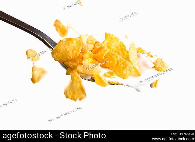 the cornflakes on the spoon with milk