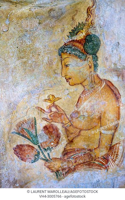 Frescoes of Sigiriya Lion Rock Fortress, Ancient City of Sigiriya, North Central Province, Sri Lanka, Asia