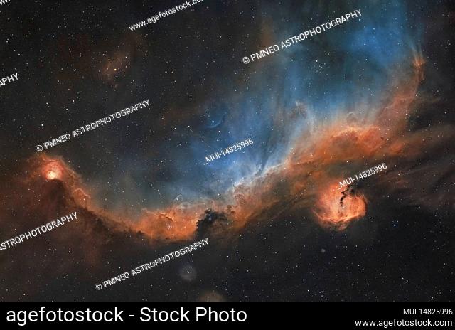 The Gull Nebula IC 2177 near the star Sirius