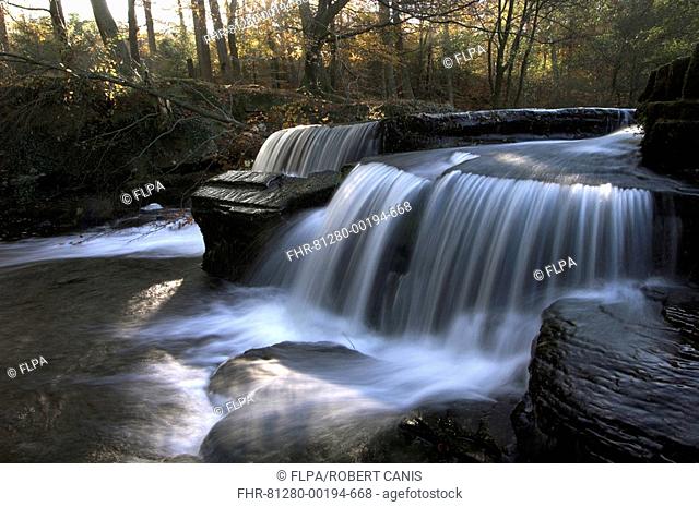 Waterfall along Taf Fechan, Taf Fechan Forest, Brecon Beacons N P , Powys, Wales, autumn