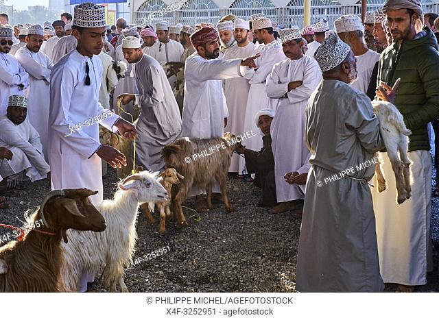 Sultanat d'Oman, gouvernorat de Ad-Dakhiliyah, Nizwa, le marché aux bestiaux du vendredi /Sultanate of Oman, Ad-Dakhiliyah Region, Nizwa, friday cattle market
