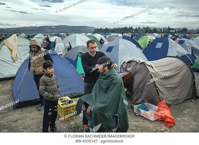 Idomeni refugee camp on the Greek Macedonia border, hairdresser cuts the hair of a migrant man, Idomeni, Central Macedonia, Greece