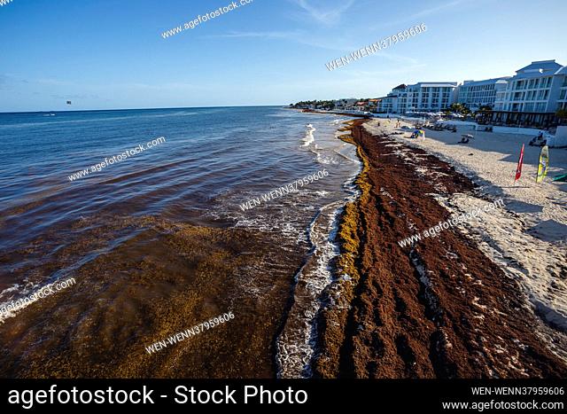 PLAYA DEL CARMEN, MEXICO - JULY 4: Aerial view of sargassum accumulated in the tourist area of the Fundadores Park beach in Playa del Carmen