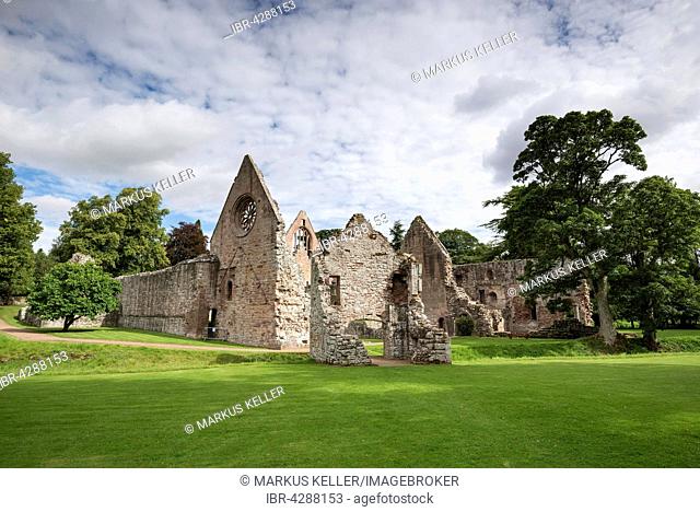 Dryburgh Abbey, St Boswells, Borders District, Scotland, United Kingdom