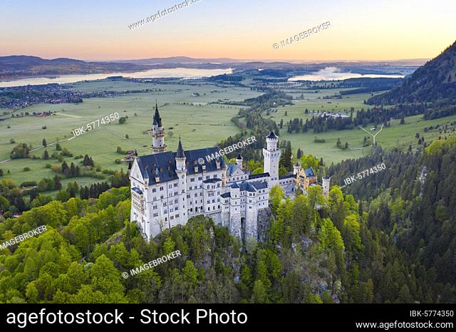Neuschwanstein Castle, in the back Forggensee and Bannwaldsee, near Schwangau, drone shot, East Allgäu, Allgäu, Swabia, Bavaria, Germany, Europe