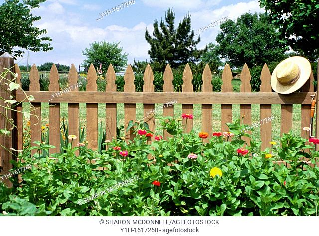 Bright zinnias and straw hat soften the wooden picket fence that protects the vegetable garden from animals, midwest USA