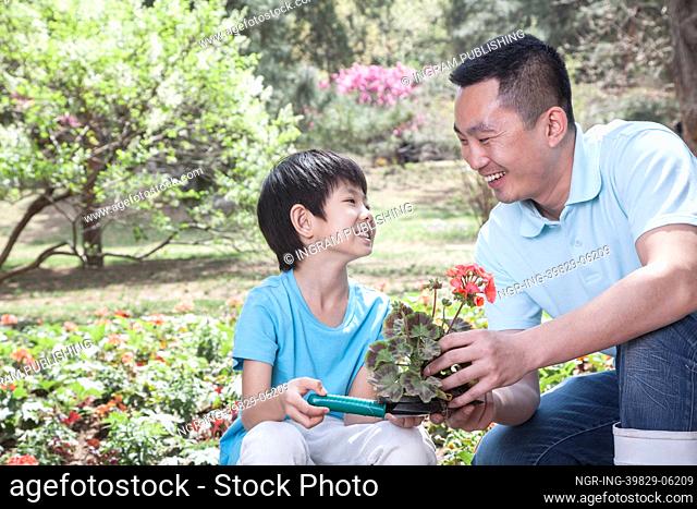 Father and son planting flowers