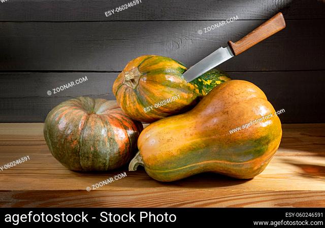 In the cool basement, ripe pumpkins are stored on a wooden shelf. Front view, close-up, copy space