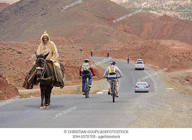 encounter between an old man riding a mule and cyclists with mountain pedelec on the road connecting Tizi n'Tichka pass to Telouet village, Ouarzazate Province