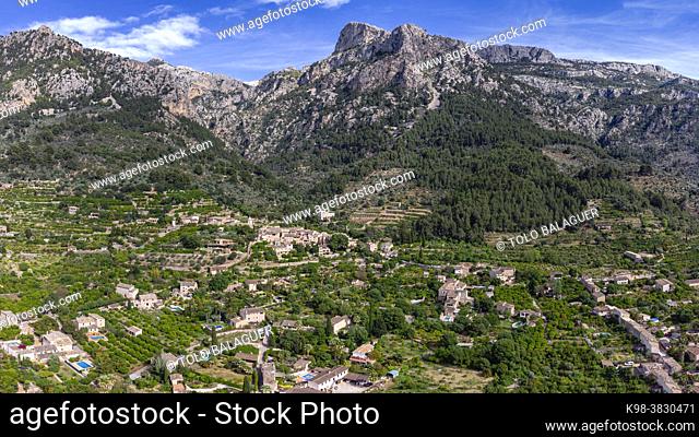 Biniaraix, orchards with the mountains in the background, Soller valley route, Mallorca, Balearic Islands, Spain