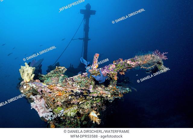 Wreck of the Anne, Russell Islands, Solomon Islands