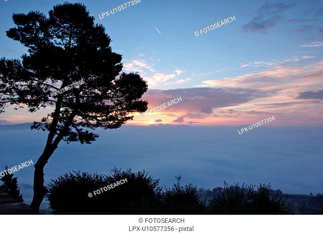 Evergreen tree silhouetted beside old stone town wall at sunrise, with view over Tiber valley in misty dawn of winter