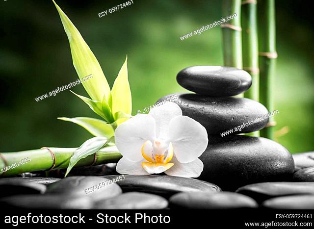zen basalt stones , orchid and bamboo