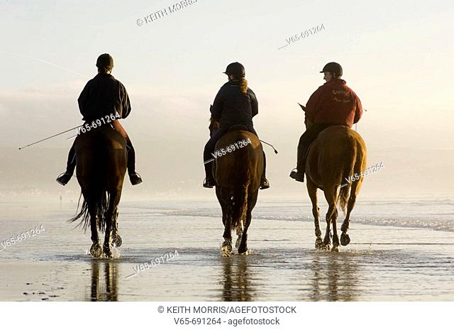 Three people riding horses on Ynyslas beach, Borth, Ceredigion, West Wales, January afternoon
