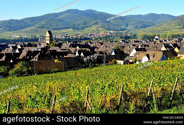 Sigolsheim, Ammerschwihr, Dörfer, Rebberge, Vogesen, Berge, Herbstfarben, Elsass, Departement Haut-Rhin, Frankreich