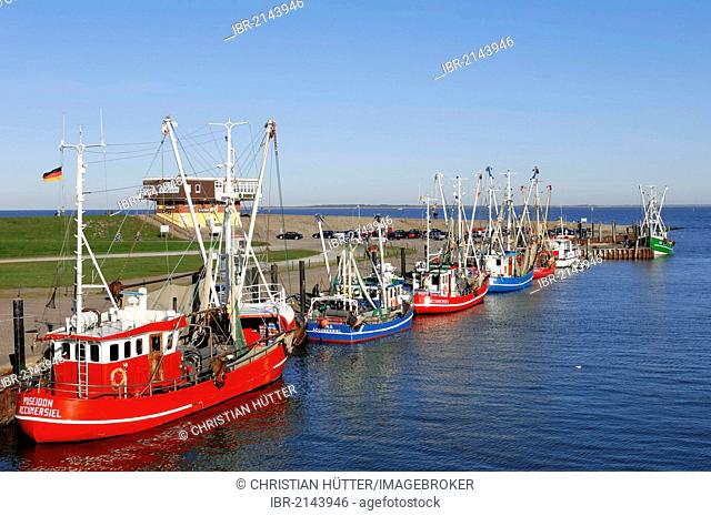 Shrimp cutters in harbour, Accumersiel, East Frisia, Lower Saxony, Germany, Europe