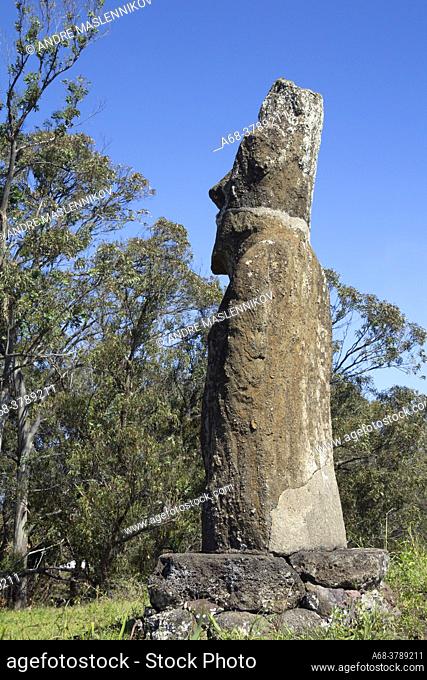A lonely moai not far from Panu Pau