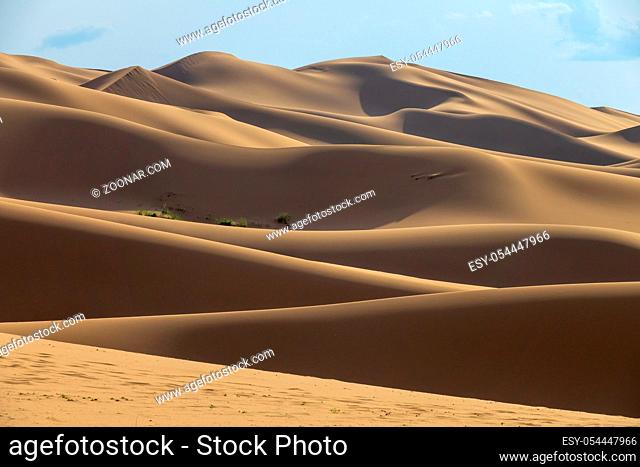Landscape of the sand dunes in Gobi Desert at sunset, Mongolia