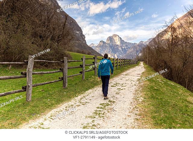 Europe, Italy, Veneto, Belluno, Sedico. A man is walking on the road leading to the center of Selection Equestrian of Case Salet, Dolomites