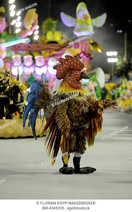 Dancer dressed as a chicken, parade of the samba school Imperatriz Leopoldinense, Carnival 2016 in the Sambodromo, Rio de Janeiro, Brazil