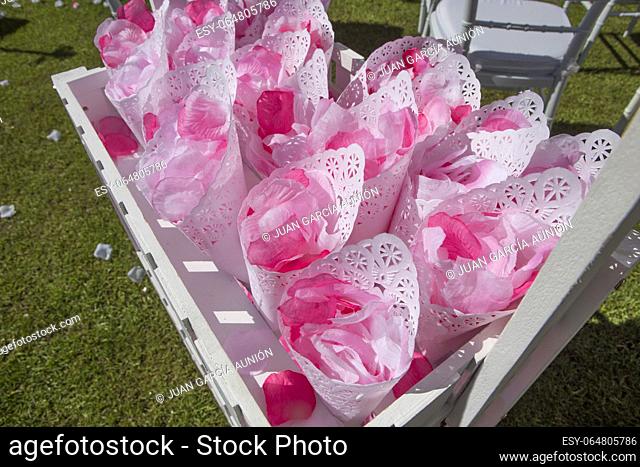 Wooden box full of cornets filled with pink petal roses for wedding. Selective focus