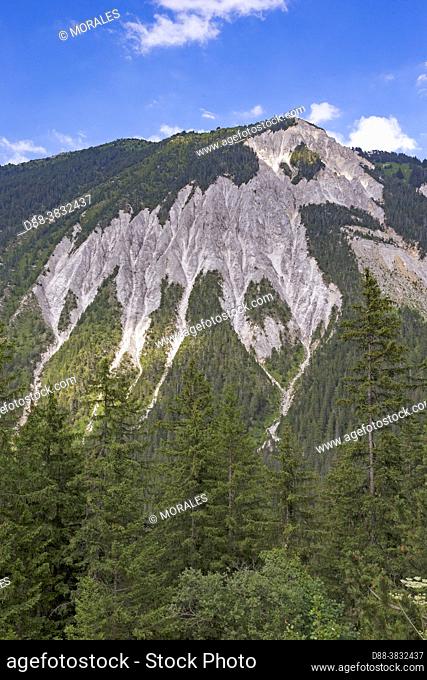 France, Auvergne-Rhône-Alpes Region, Savoie, Champagny-en-Vanoise, Alpine glade with erosion of the limestone soil that can eventually create scree on the steep...
