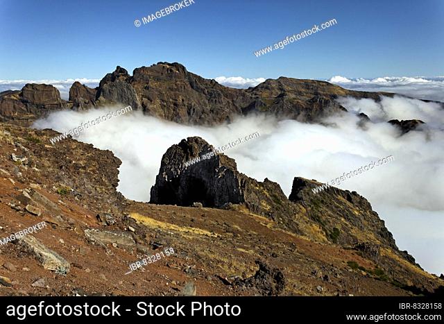 Trade wind clouds (cumulus humilis or cumulus mediocris) rise to Pico do Arieiro 1818 metres, third highest peak in Madeira