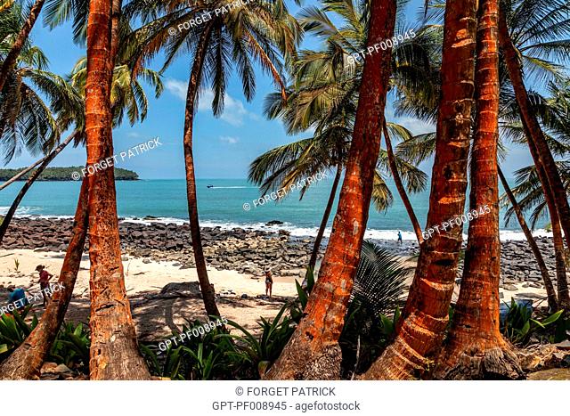 BEACH AND PALM TREES ON ILE SAINT-JOSEPH ON WHICH THERE WAS ONCE A PENAL COLONY, SALVATION'S ISLANDS, KOUROU, FRENCH GUIANA, OVERSEAS DEPARTMENT, SOUTH AMERICA
