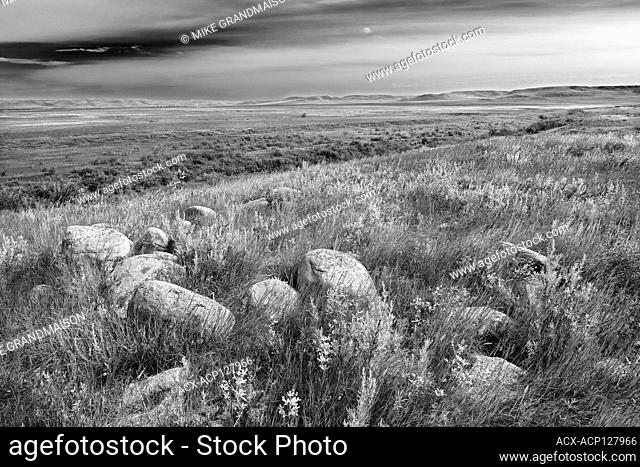 Landscape of the Grasslands, Grasslands National Park, Saskatchewan, Canada