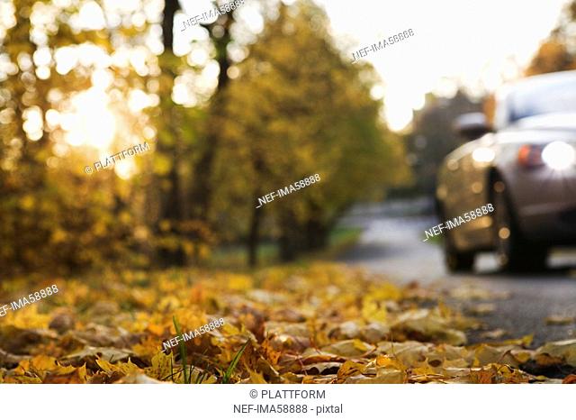 A cabriolet on a road an autumn day Sweden