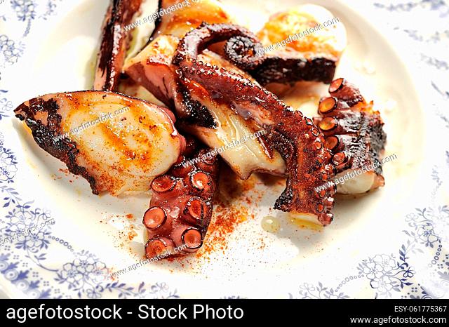 Plate Galician octopus
