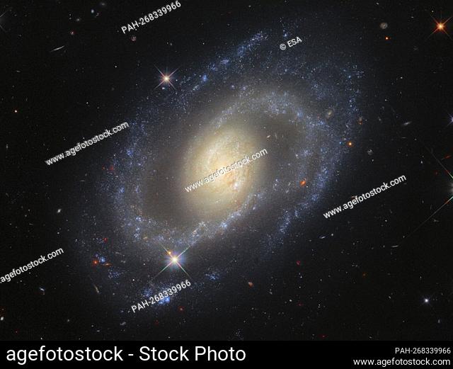 This image from the NASA/ESA Hubble Space Telescope features the spiral galaxy Mrk 1337, which is roughly 120 million light-years away from Earth in the...