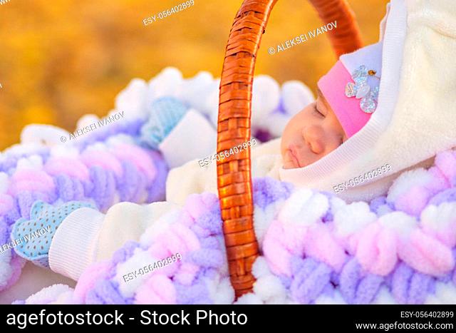 Baby sleeps in basket in autumn park, close up