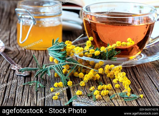 Spring mimosa flowers and cup of tea