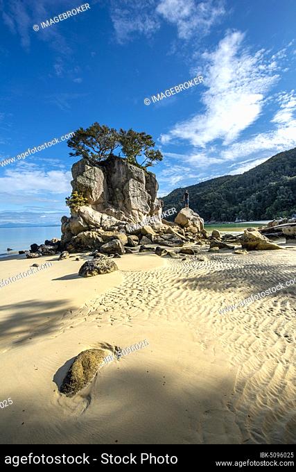 Young man standing on a rock, overgrown rock on the beach of Stillwell Bay, Abel Tasman National Park, Tasman, South Island, New Zealand, Oceania