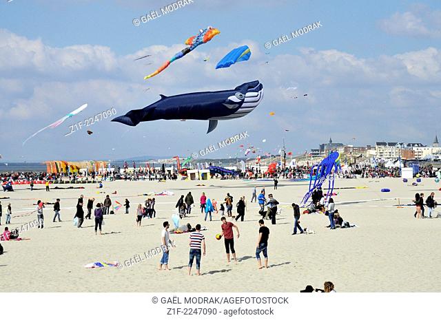 Wind festival of Berck-sur-Mer in the north of France