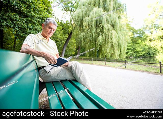Portrait of senior man sitting on park bench reading a book