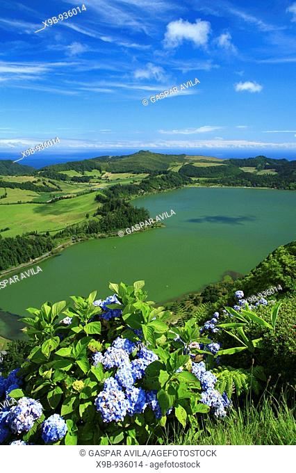Furnas Lake, with hydrangeas on the foreground  Sao Miguel island, Azores islands, Portugal
