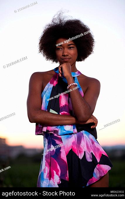 portrait of a young beautiful African American women on a warm summer evening in summer dress with a smile on her face