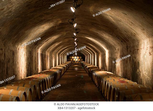 Italy, Friuli, Collio, Capriva, Spessa castle, wine cellar