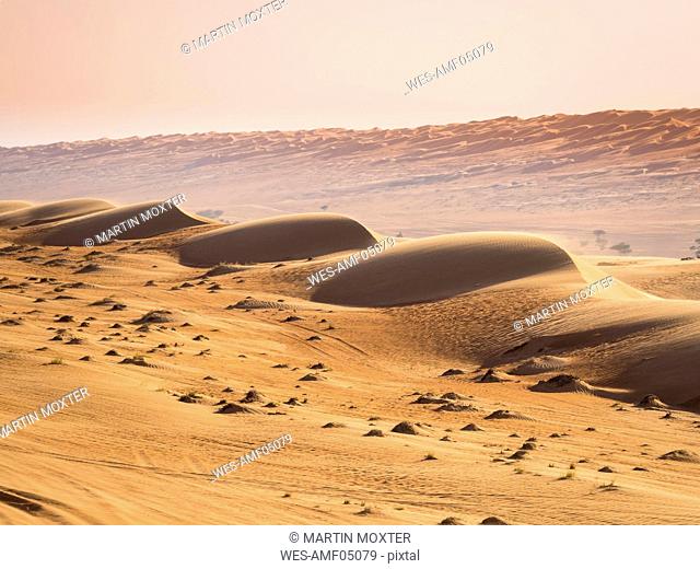 Oman, Al Raka, Dunes in Rimal Al Wahiba desert