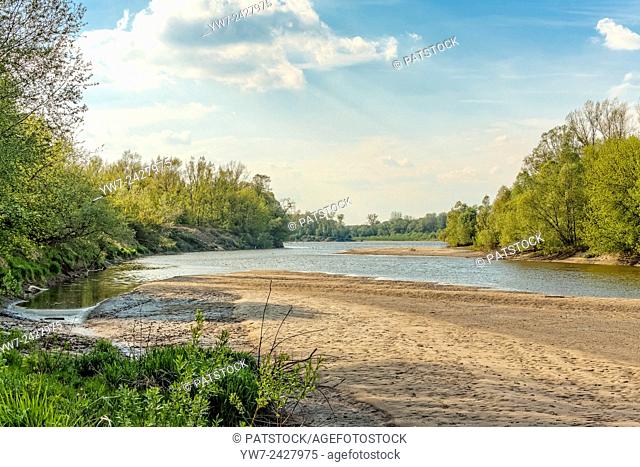 Vistula riverbank in Lawice Kielpinskie nature reserve near Kepa Kielpinska, Poland