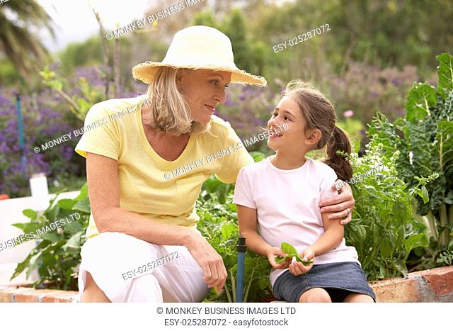 Grandmother And Granddaughter Working In Vegetable Garden