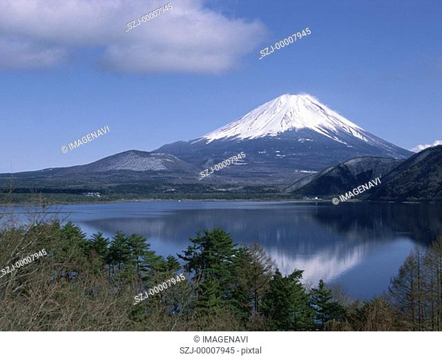 Mt  Fuji