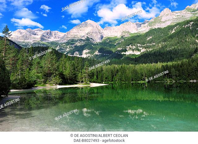 Tovel Lake, Non valley, Adamello-Brenta Nature Park, Brenta Dolomites (Unesco World Heritage List, 2009), Trentino-Alto Adige, Italy