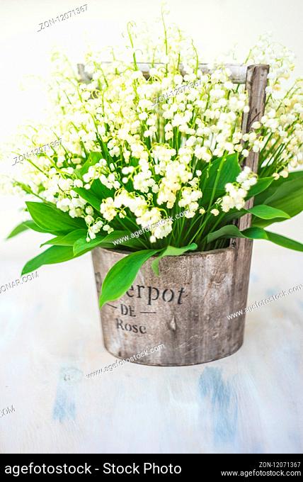 Spring floral card concept with white may lily flowers on rustic background with copy space