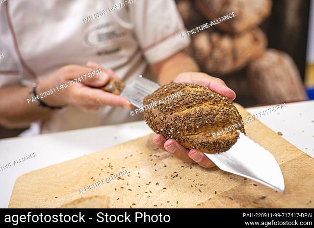 08 September 2022, Berlin: Michael Isensee, roll tester of the Deutsches Brotinstitut e.V. (German Bread Institute), cuts a roll at the Berlin Bakers' Guild